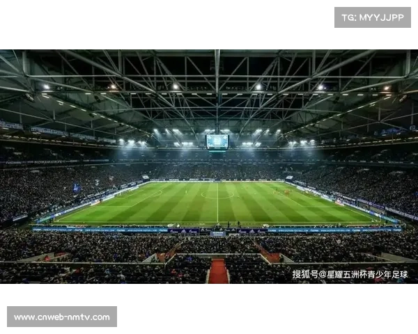 意甲球场安全标准升级欧洲杯前基础设施整改加速